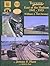 Trackside East of the Hudson 1941-1953 with William J. McChesny