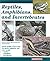 Reptiles, Amphibians, and Invertebrates: An Identification and Care Guide by Bartlett, Patricia P., Griswold DVM, Billy, Bartlett, R.D. (2001) Paperback