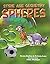Spheres