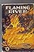 Flaming River: the story of an intrepid boy who developed a petroleumfield