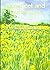 Barefeet and Buttercups: Resources for Ordinary Time by Ruth Burgess (30-Jun-2008) Paperback