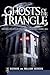 Ghosts of the Triangle:: Historic Haunts of Raleigh, Durham and Chapel Hill (Haunted America) by Richard Jackson (2009-08-31)