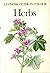 Herbs (Concise Guides in Colour) by Frantisek Stary (1974-03-29)