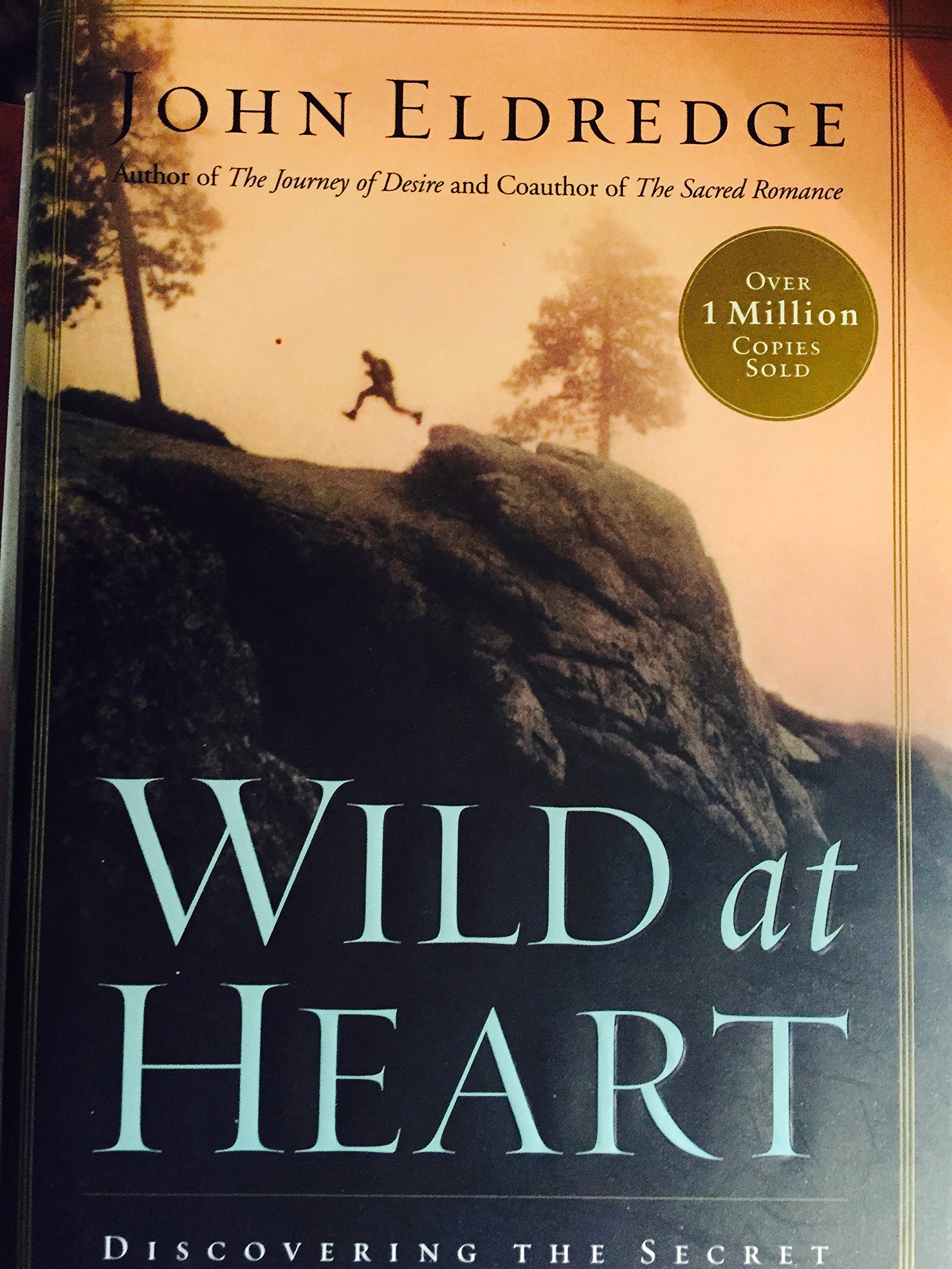 Wild At Heart - Discovering The Secret Of A Man's Soul
