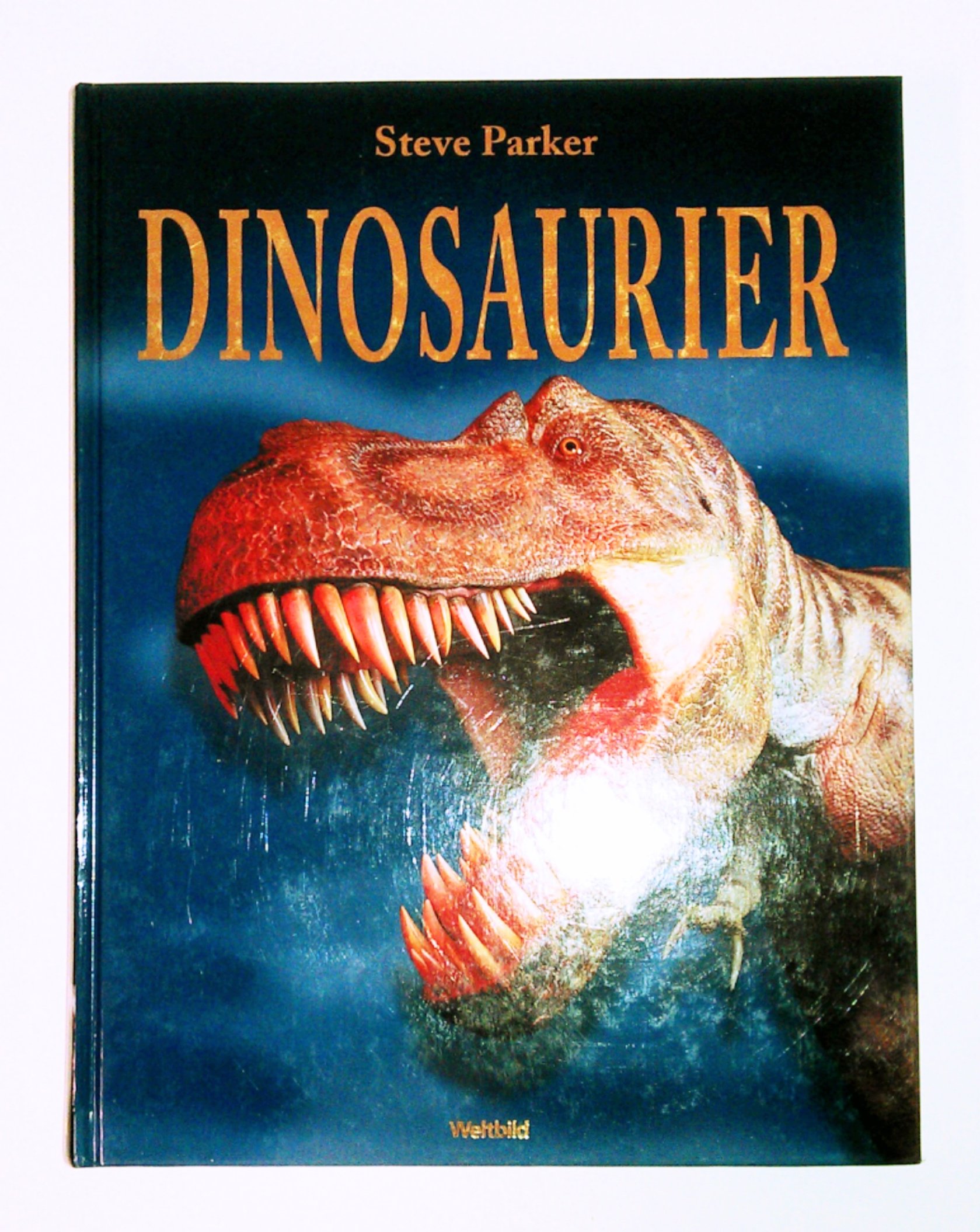 Dinosaurier (Hardcover)