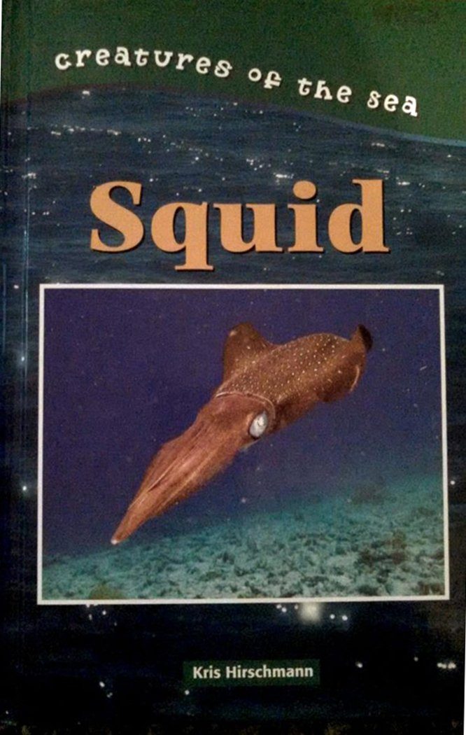 Squid (Creatures of the Sea)