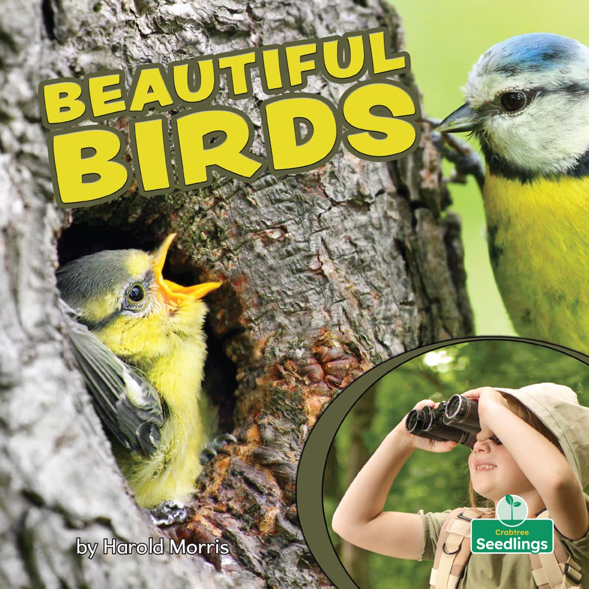 Beautiful Birds (Backyard Science)
