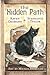Hidden Path