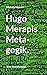 Hugo Merapis Metagogik.: Eine Annäherung. (German Edition)