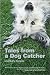 Tales from a Dog Catcher by Lisa Duffy-Korpics