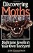 Discovering Moths: Nighttime Jewels in Your Own Backyard by John Himmelman (2002-01-01)