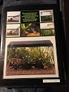 Encyclopedia Of Tropical Aquarium Fish Encyclopedia Of Tropical Aquarium Fish
