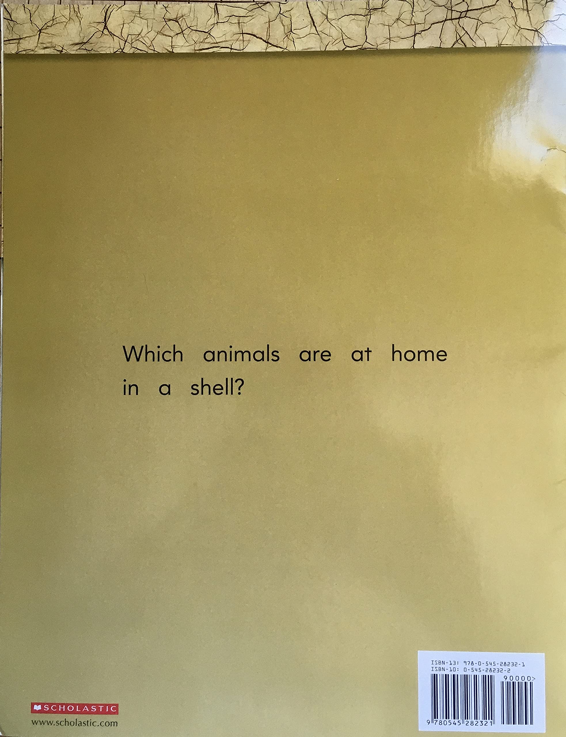 At Home In a Shell (Paperback)