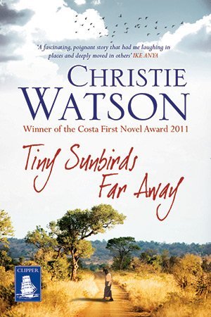 Tiny Sunbirds Far Away