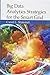 By Carol L. Stimmel Big Data Analytics Strategies for the Smart Grid (1st First Edition) [Hardcover]
