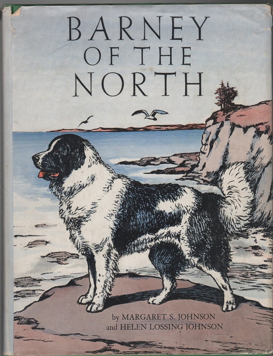 Barney of the North (Hardcover)