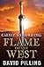 Caesar's Sword (III): Flame of the West: Volume 3 by David Pilling (2014-07-26)