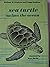 Sea Turtle swims the ocean (Life-cycle stories)