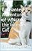 The Enchanted Adventures of Whiskers the Wonder Cat