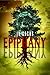 Epiphany