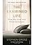 (The Examined Life: How We Lose and Find Ourselves) [By: Grosz, Stephen] [Jan, 2014]