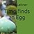 Timo finds an Egg