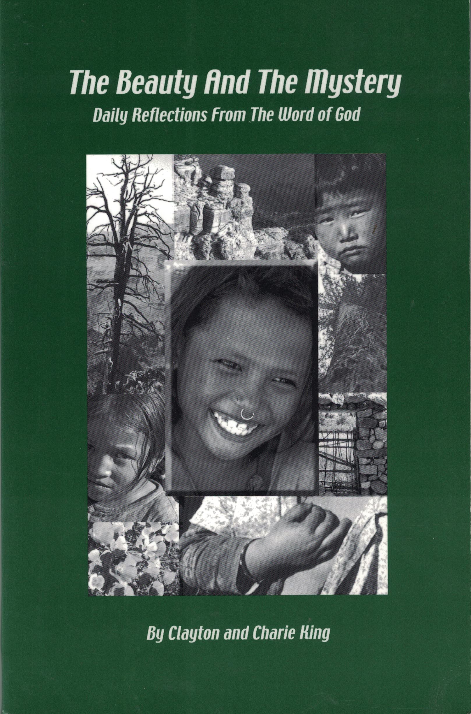 The Beauty and the Mystery: Daily Reflections from the Word of God (Paperback)