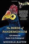 The Birds of Pandemonium by Michele Raffin (2014-10-07)