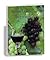 The Wine Grape's Journey: T...
