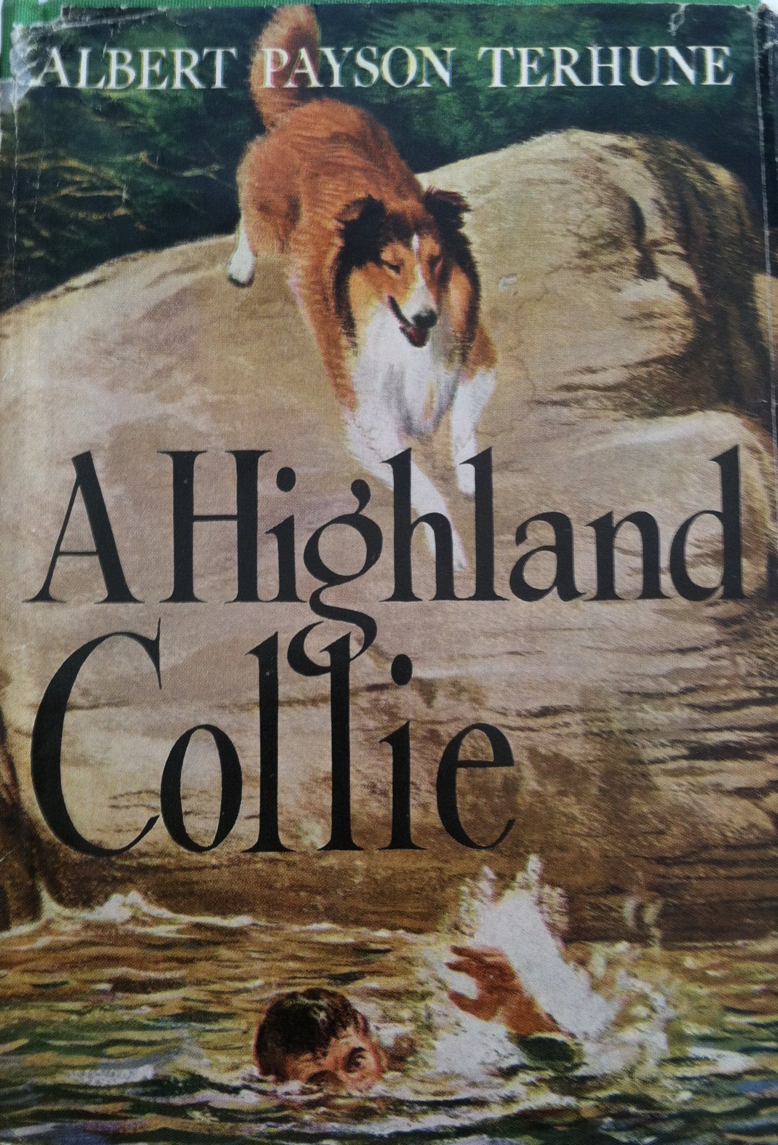 A highland collie (Hardcover)