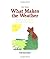 What Makes The Weather - Pbk (Nik) (Now I Know) by Palazzo (1998-10-29)