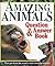 Amazing Animals: Question & Answer Book