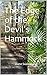 The Edge of the Devil's Hammock