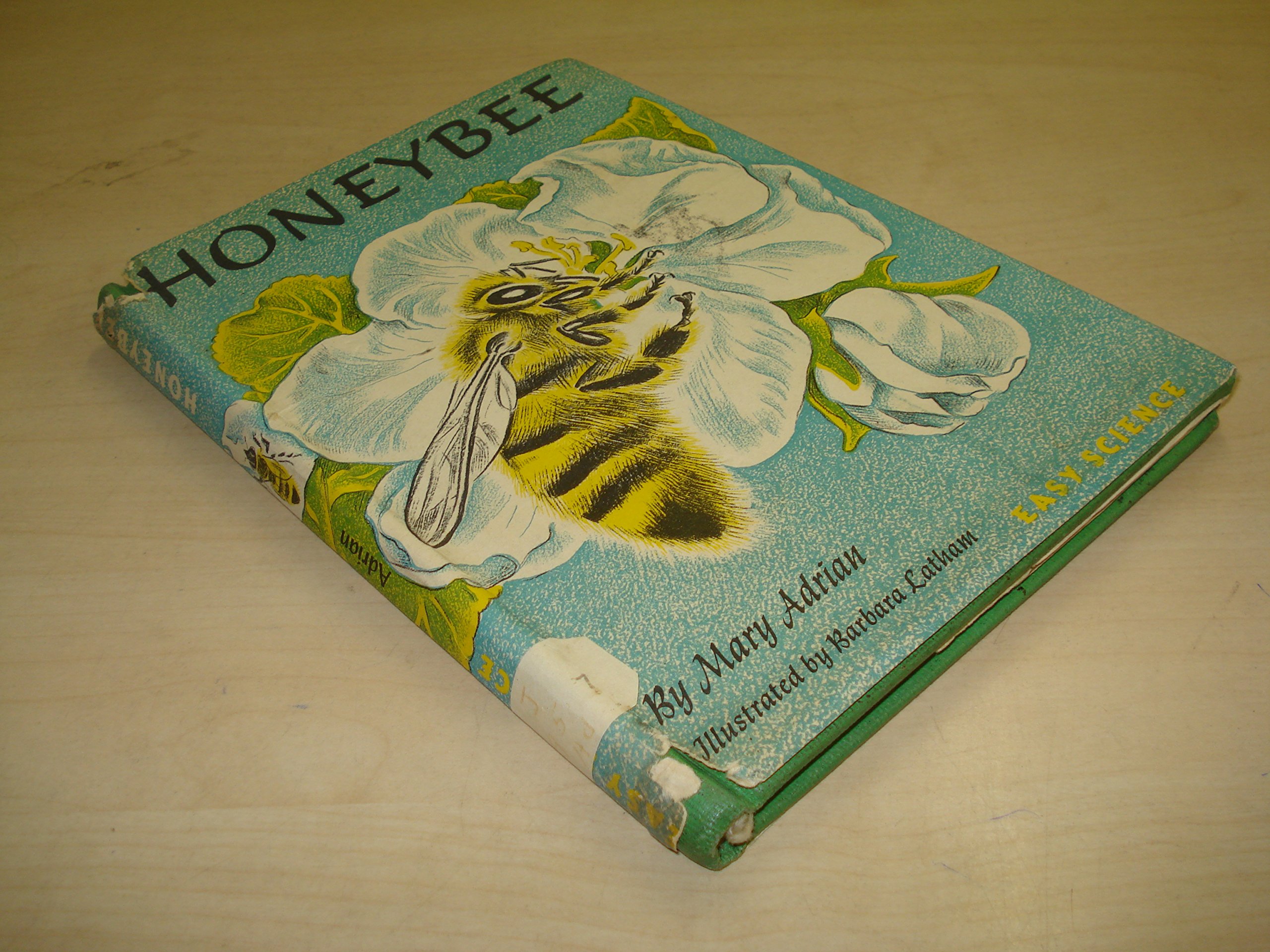 Honeybee