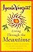 [Living Through the Meantime: Learning to Break the Patterns of the Past and Begin the Healing Process (Fireside book)] [Author: Vanzant, Iyanla] [August, 2001]