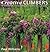 Creative Climbers: Inventive Ideas for Growing Plants in Every Area of the Garden by Paul Williams (21-Aug-1998) Hardcover