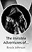 The Invisible Adventures of...