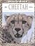Cheetah: Habitats, Life Cycles, Food Chains, Threats (Natural World)
