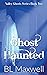 Ghost Haunted (Valley Ghosts)
