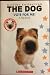 The Dog The Cat - Vote for Me - a Flip Book by Unknown Author The Dog The Cat - Vote for Me - a Flip Book by Unknown Author