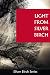 Light from Silver Birch