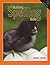 Building Spelling Skills Book 2 by Garry J. Moes