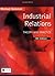 Industrial Relations: Theory and Practice by Michael Salamon (2001-06-10)