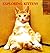 Exploring Kittens by Honda, Nobuo (2000) Paperback