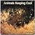 Animals Keeping Cool