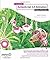 Foundation Actionscript 3.0 Animation: Making Things Move! 1st 2007. 2nd pr edition by Peters, Keith (2008) Paperback
