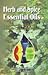 Herb and Spice Essential Oils