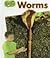 Worms