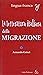 La letteratura italiana della migrazione (Lingua franca) (Italian Edition)