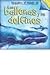 Descubre el mundo de las ballenas y los delfines / Discover the World of Whales and Dolphins (Spanish Edition)